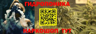 СК Рязань