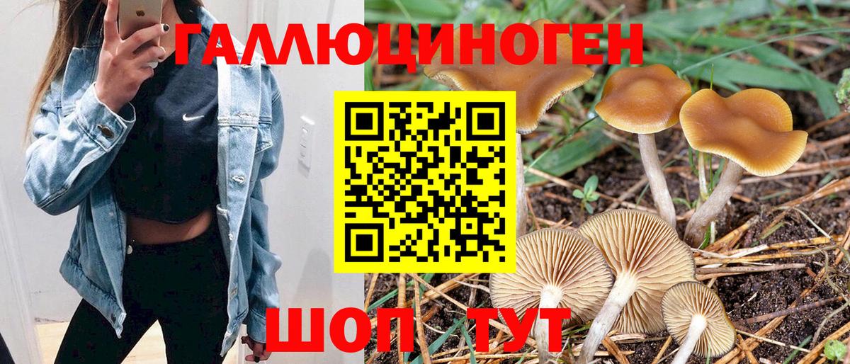 Псилоцибиновые грибы Cubensis Советск