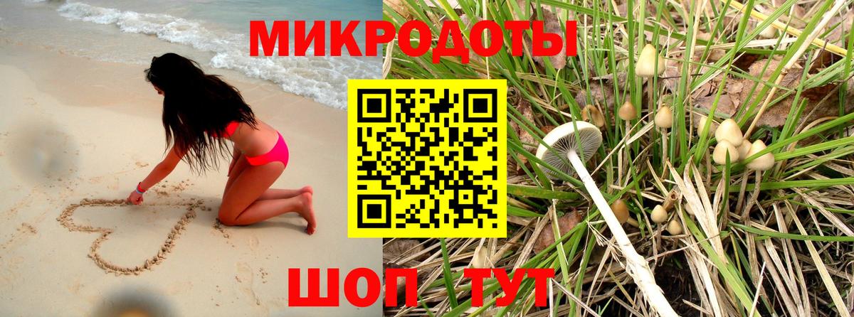 Советск  Галлюциногенные грибы Psilocybe  Вход с VPN 